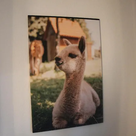 Alpakaglueck *